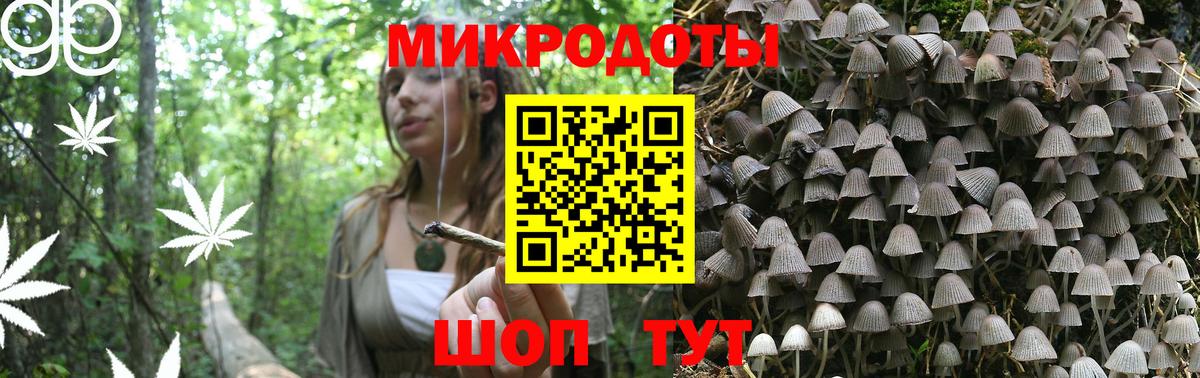 Галлюциногенные грибы Cubensis  Псилоцибиновые грибы мухоморы  Керчь  Вход с VPN 
